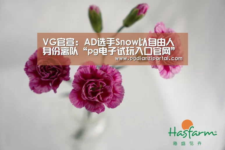 pg电子试玩入口官网