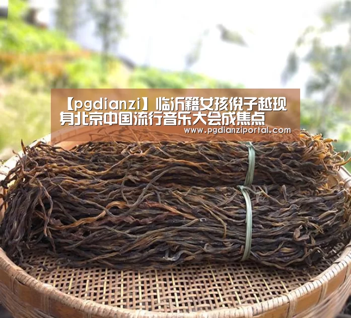 pg电子试玩入口