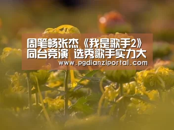 周笔畅张杰《我是歌手2》同台竞演  选秀歌手实力大爆发|pg试玩网(图3)